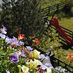 Sonnenhof - &